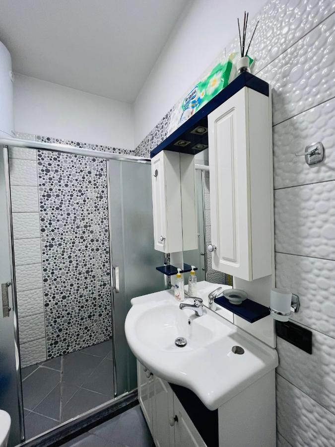Cozy Near Artificial Apartament Tirana
